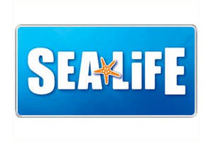 Sea Life - Vacanze le Palme